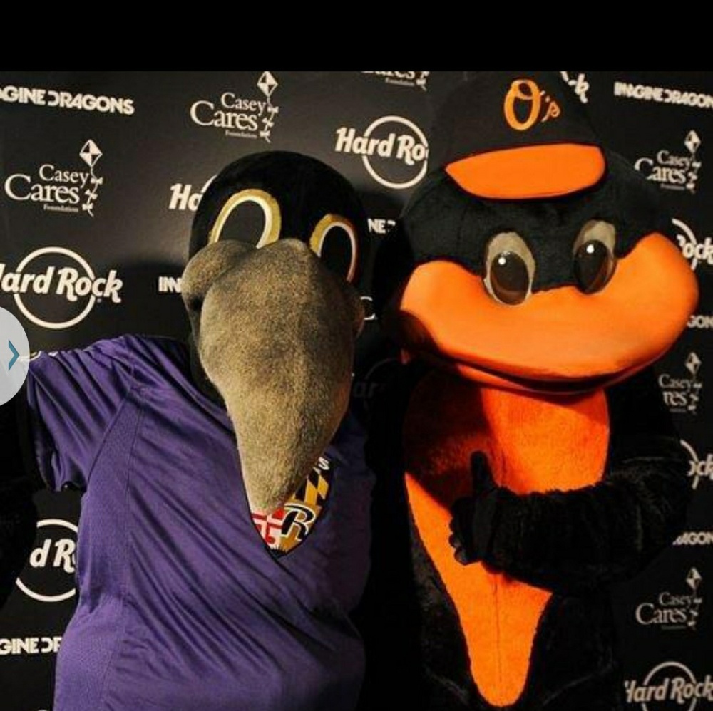 Meet your Posher, P.